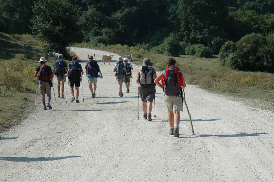 Il sud dei cammini 10° Festival Europeo vie Francigene.