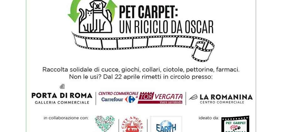 Arriva "Pet Carpet: un riciclo da Oscar".