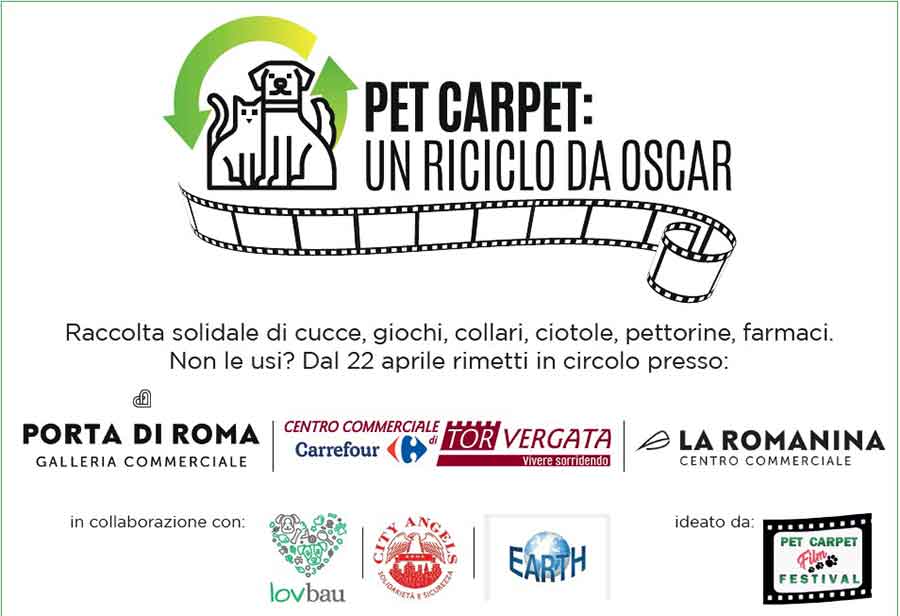 Arriva "Pet Carpet: un riciclo da Oscar".