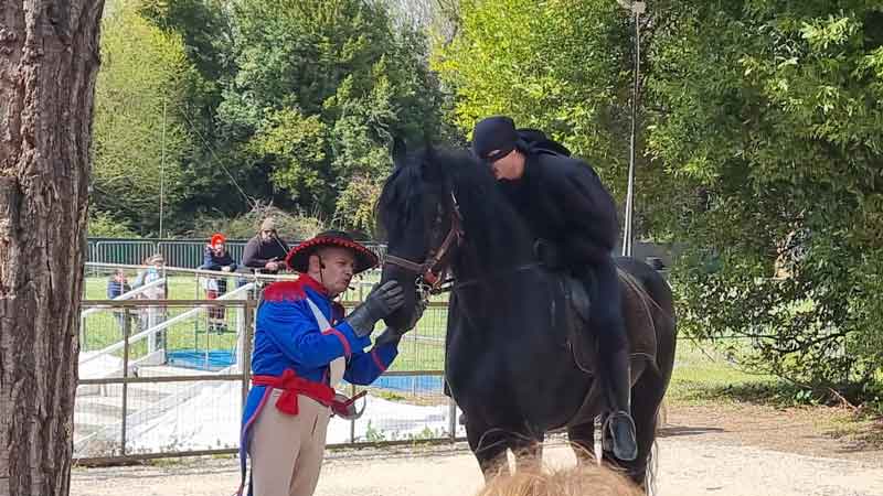 Zorro