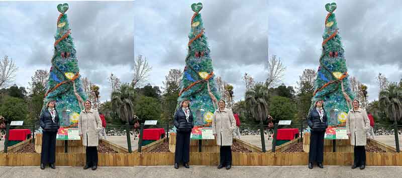 Festività natalizie: al Bioparco l'albero del riciclo.