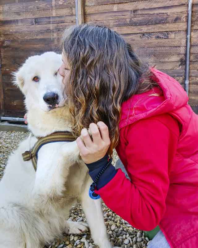 Zoomarine “Se Cupido ci mette lo zampino?”